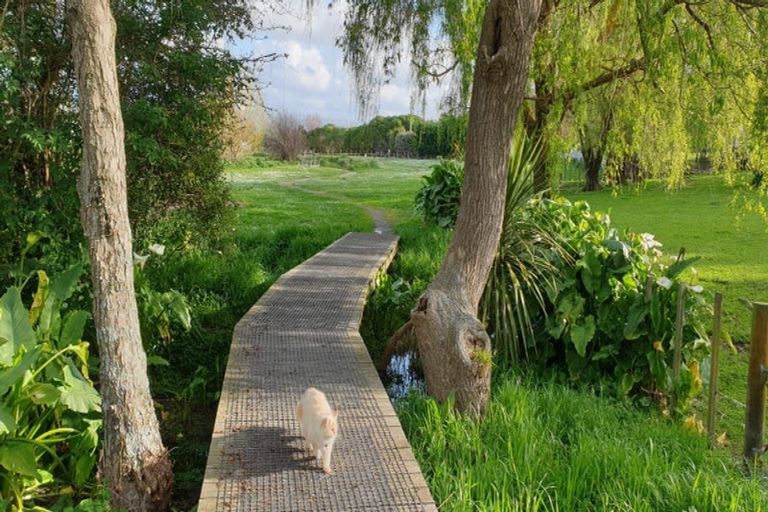 Photo of property in 16 Chestnut Close, Kelvin Grove, Palmerston North, 4414