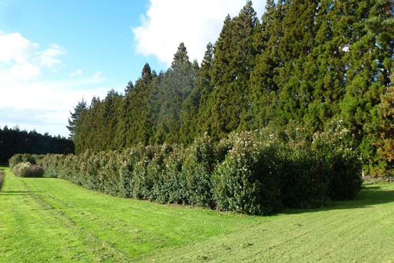 Photo of property in 46 Laurel Drive, Whakamarama, Tauranga, 3179