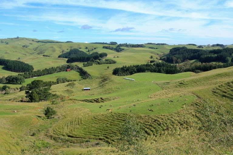 Photo of property in 573 Maungatawhiri Road, Raglan, 3295