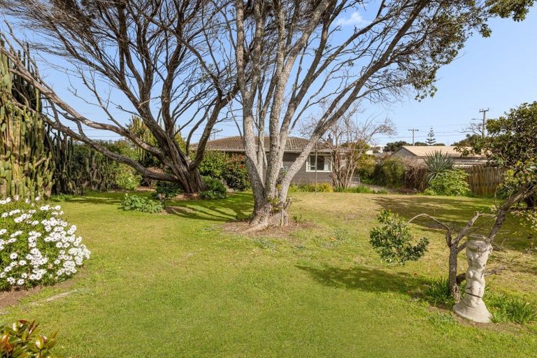 Photo of property in 13a Links Avenue, Mount Maunganui, 3116