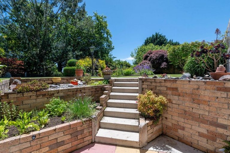 Photo of property in 31 Hillcrest Avenue, Hillcrest, Rotorua, 3015