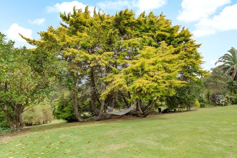 Photo of property in 236 Kiwitahi Road, Helensville, 0875