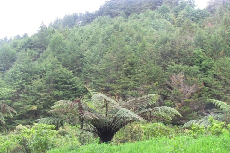 Photo of property in 2 Ararata Road, Hawera, 4672