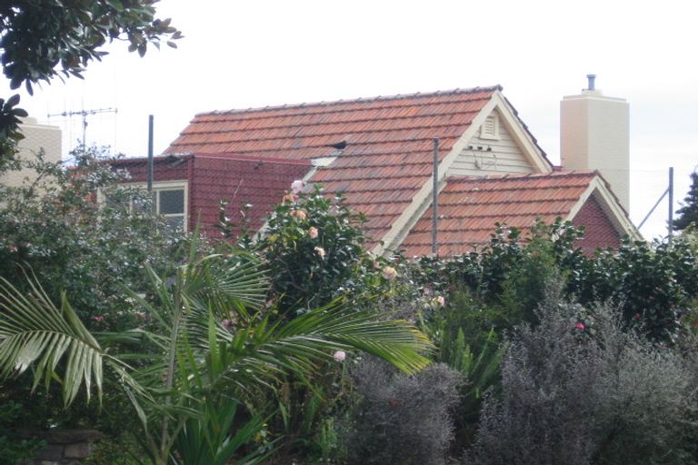 Photo of property in 46 Briarley Street, Tauranga South, Tauranga, 3112