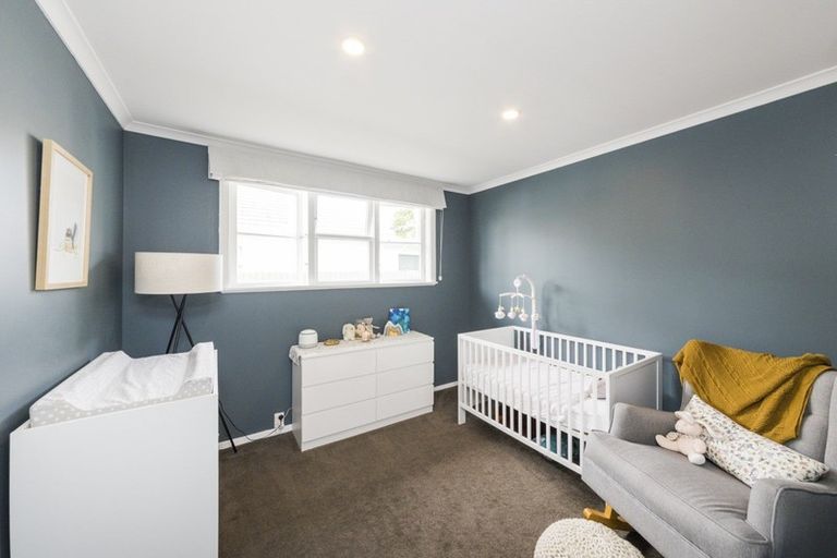 Photo of property in 53 Guy Avenue, Takaro, Palmerston North, 4410