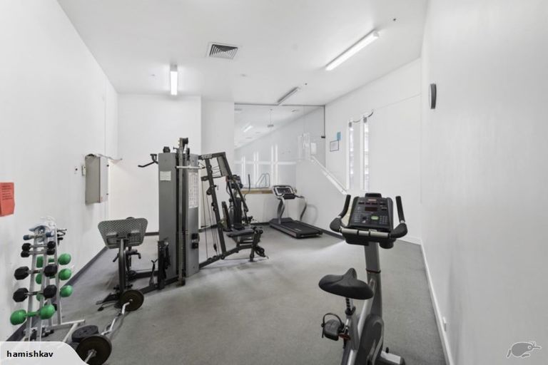 Photo of property in The Landings, 310/8 Ronayne Street, Auckland Central, Auckland, 1010