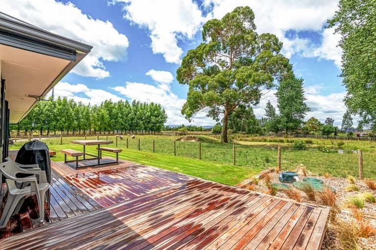 Photo of property in 569 Taonui Road, Colyton, Feilding, 4775