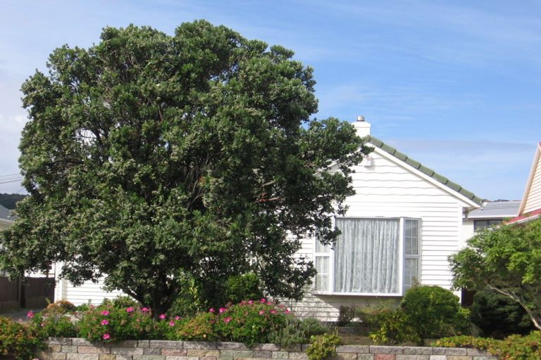 Photo of property in 17 Wayside, Miramar, Wellington, 6022