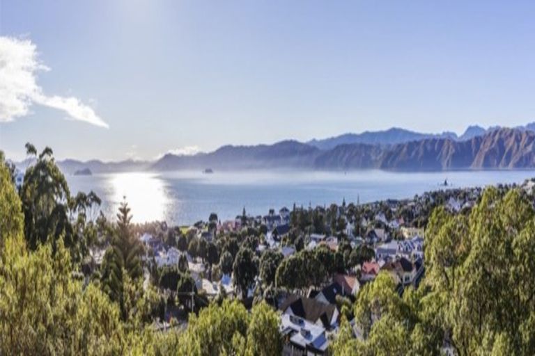 Photo of property in 74 Tio Tio Road, Seatoun, Wellington, 6022