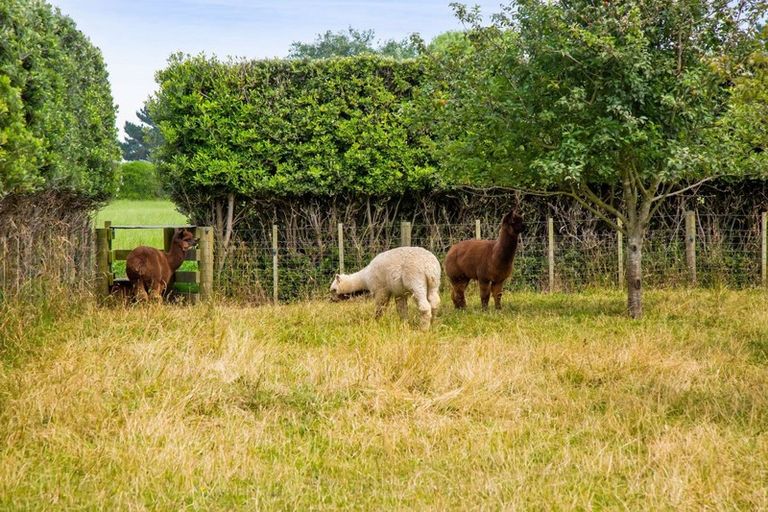 Photo of property in 1048 Normanby Road, Manaia, Hawera, 4678