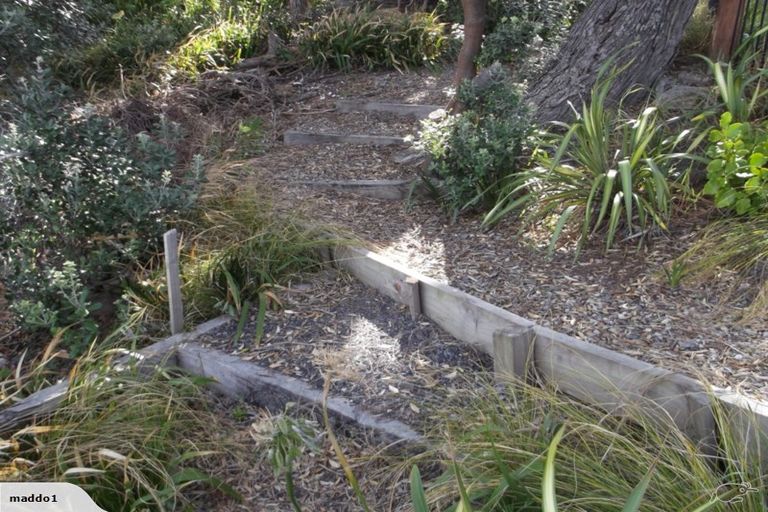 Photo of property in 877 Whangaparaoa Road, Manly, Whangaparaoa, 0930