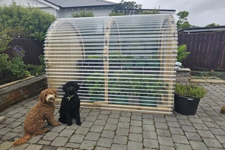 Photo of property in 27 Norman Street, Tainui, Dunedin, 9013