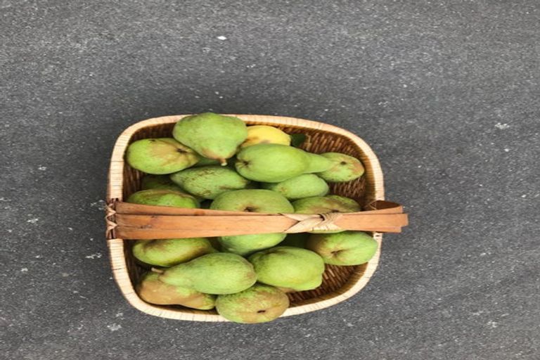 Photo of property in 8 Ocean View Terrace, Sumner, Christchurch, 8081