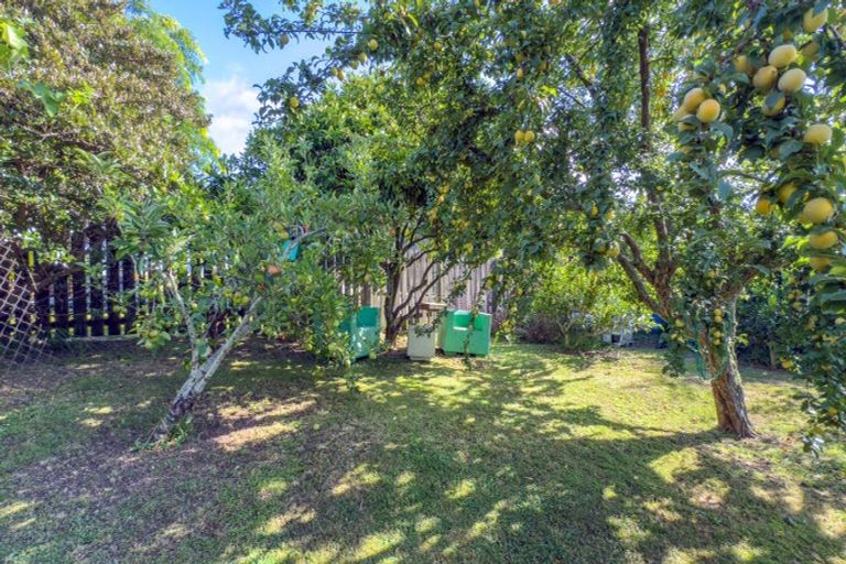 Photo of property in 10 Andrews Street, Paeroa, 3600