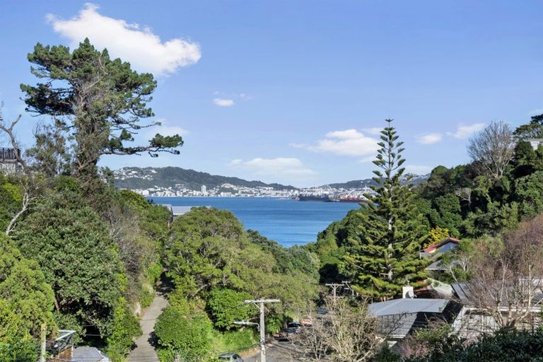 Photo of property in 30 Rangiora Avenue, Kaiwharawhara, Wellington, 6035