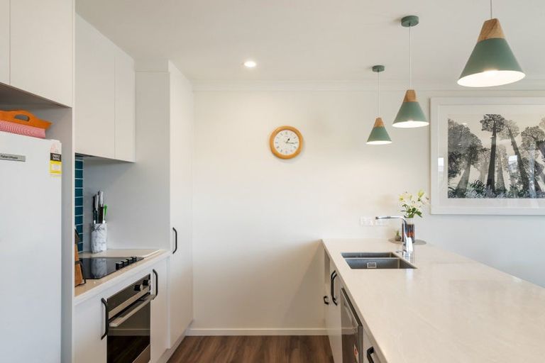 Photo of property in 79a Hinemoa Street, Levin, 5510