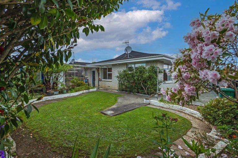 Photo of property in 4a Te Punga Place, Awapuni, Palmerston North, 4412