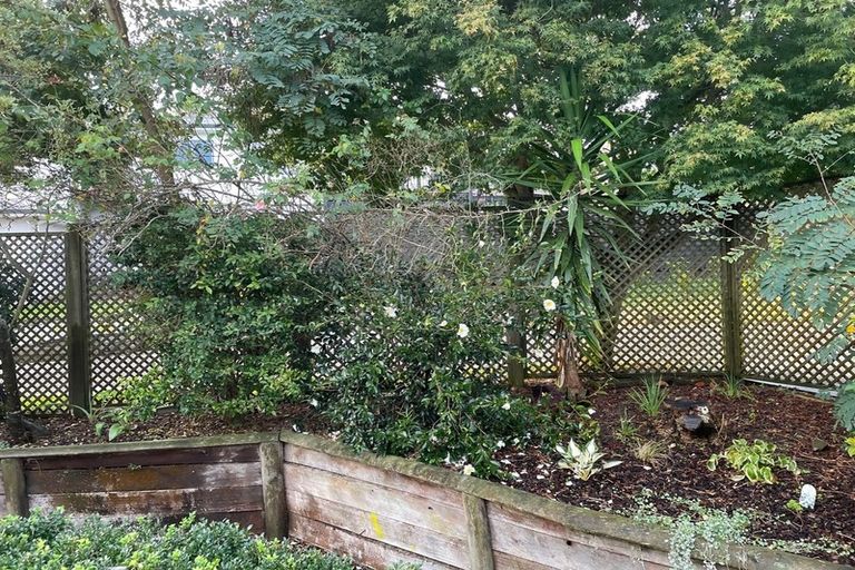 Photo of property in 8a Hall Street, Cambridge, 3434