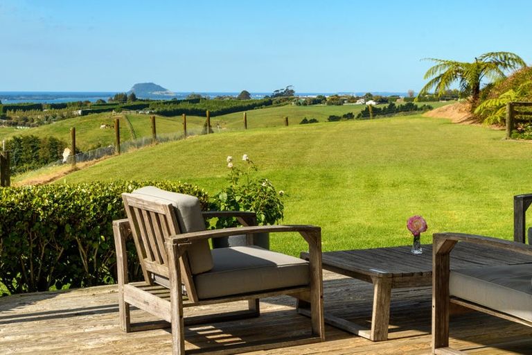 Photo of property in 220 Ross Road, Whakamarama, Tauranga, 3179