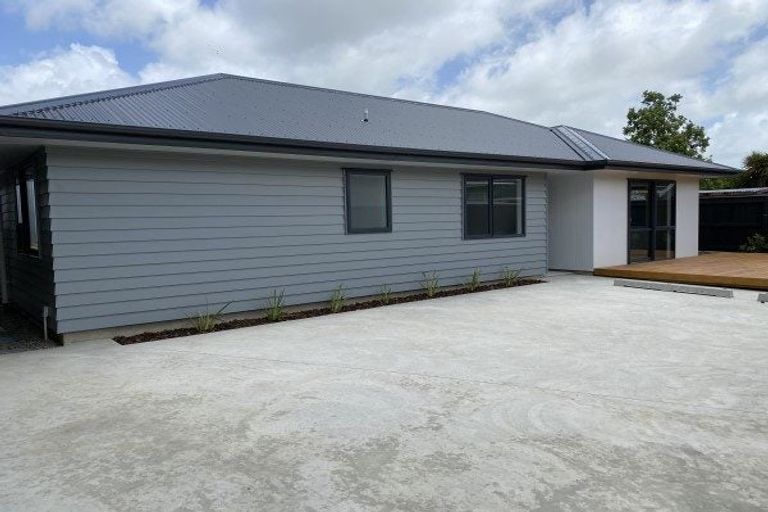 Photo of property in 77a Guy Avenue, Takaro, Palmerston North, 4410