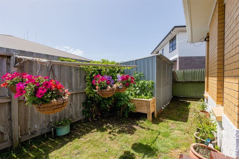 Photo of property in 587a Maunganui Road, Mount Maunganui, 3116