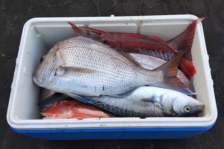 Photo of property in 156 Petley Road, Paparoa, 0571