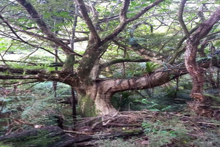 Photo of property in 31 Waitorupai Way, Matapouri, Whangarei, 0173