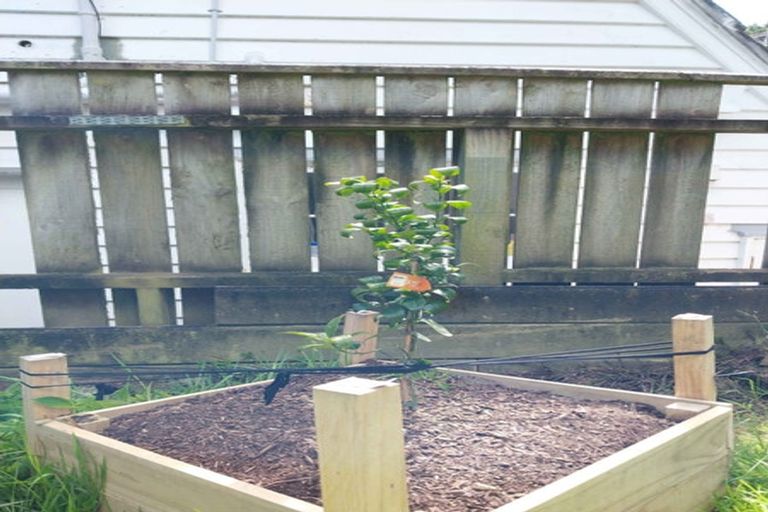 Photo of property in 88b Townsend Road, Miramar, Wellington, 6022