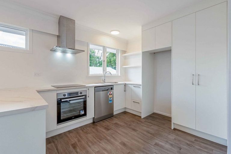 Photo of property in 22 Collingwood Street, Judea, Tauranga, 3110