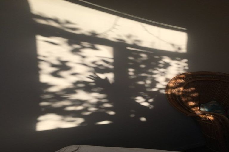 Photo of property in Mondrian Townhouses, 2/24 Hanson Street, Mount Cook, Wellington, 6021