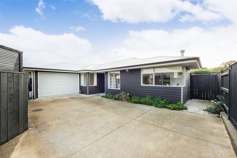 Photo of property in 651a Featherston Street, Roslyn, Palmerston North, 4414