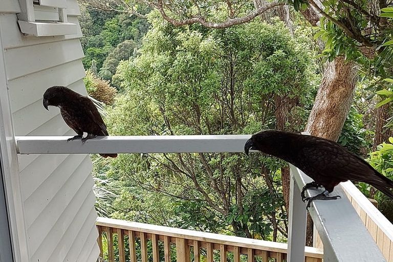 Photo of property in 48 Moana Road, Kelburn, Wellington, 6012