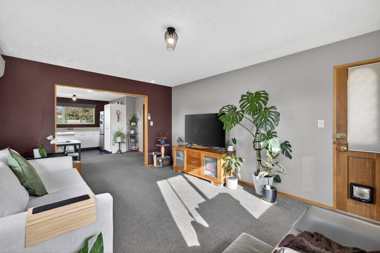 Photo of property in 19a Richill Street, Belfast, Christchurch, 8051