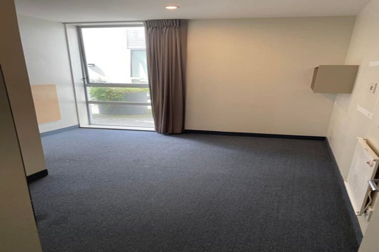 Photo of property in Hanson House, 2/27 Hanson Street, Mount Cook, Wellington, 6021