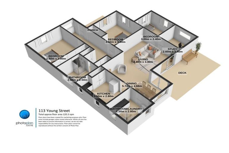 Photo of property in 113 Young Street, Te Awamutu, 3800