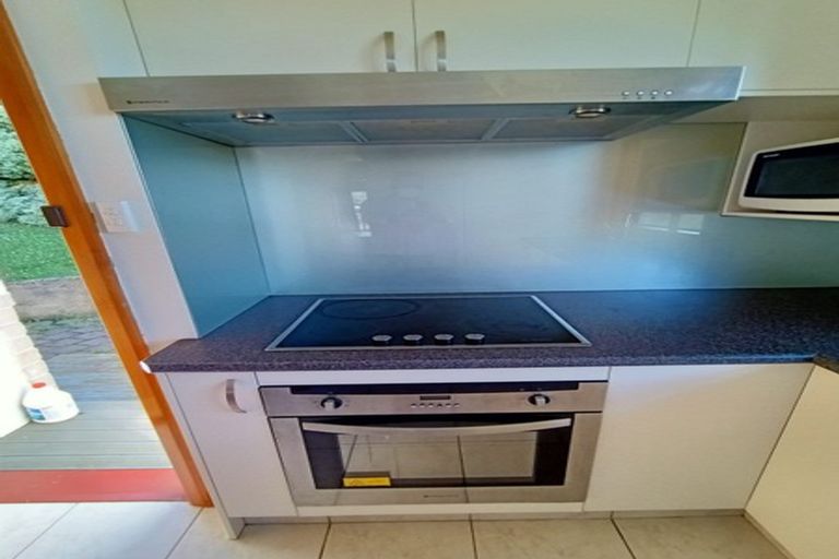 Photo of property in 48 Evans Street, Opoho, Dunedin, 9010