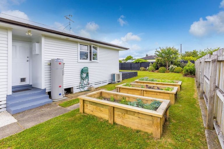 Photo of property in 31 Halberg Crescent, Chartwell, Hamilton, 3210