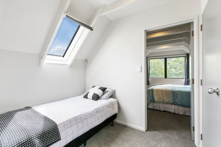 Photo of property in 1b Stephens Place, Hairini, Tauranga, 3112