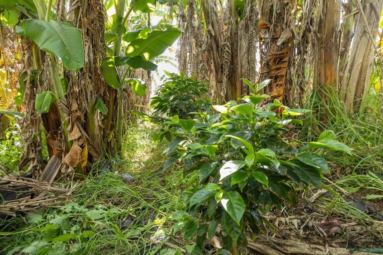 Photo of property in 410 Mahuta Road, Mahuta, Dargaville, 0371