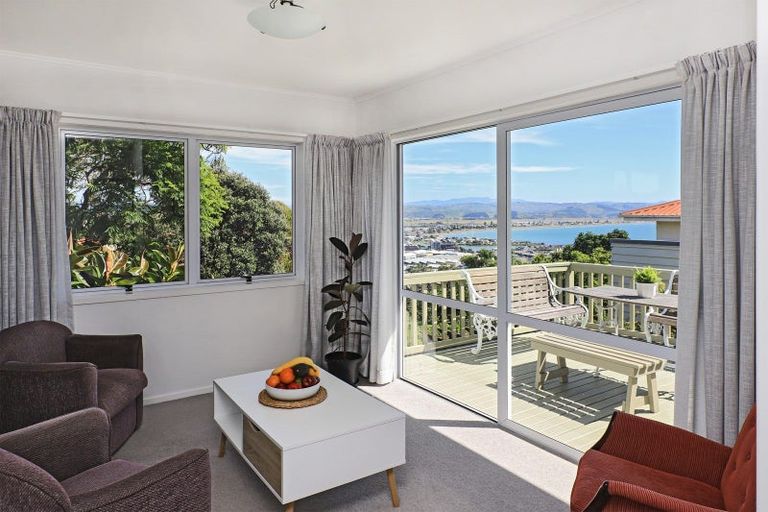 Photo of property in 10 Coleman Terrace, Hospital Hill, Napier, 4110