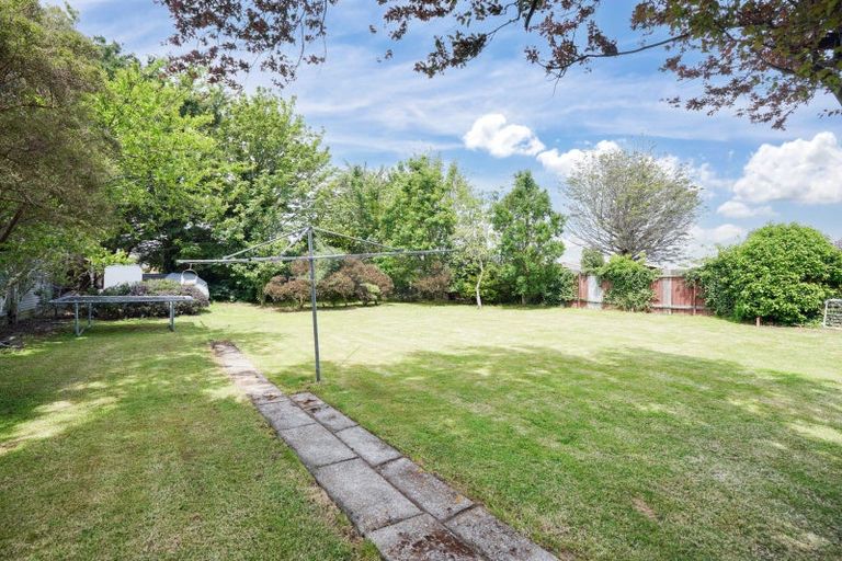 Photo of property in 223 Ettrick Street, Appleby, Invercargill, 9812