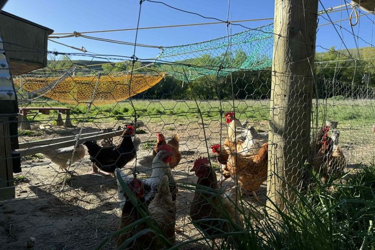 Photo of property in 633 Ardgour Road, Tarras, Cromwell, 9383