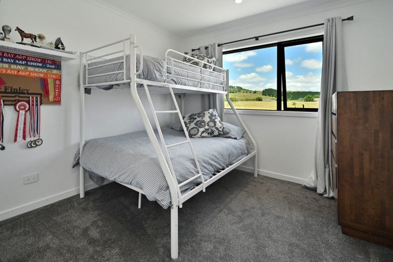 Photo of property in 137 Kereru Road, Maraekakaho, Hastings, 4171