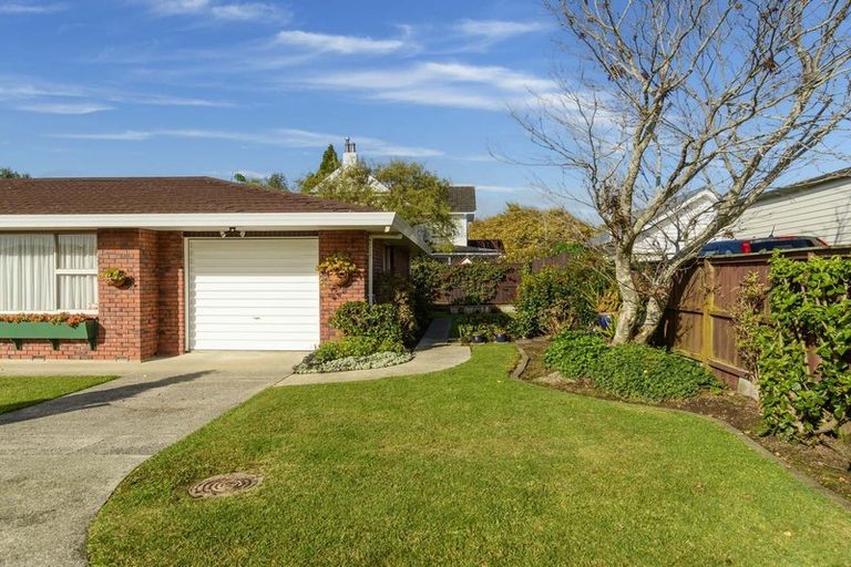 Photo of property in 266b Otumoetai Road, Otumoetai, Tauranga, 3110