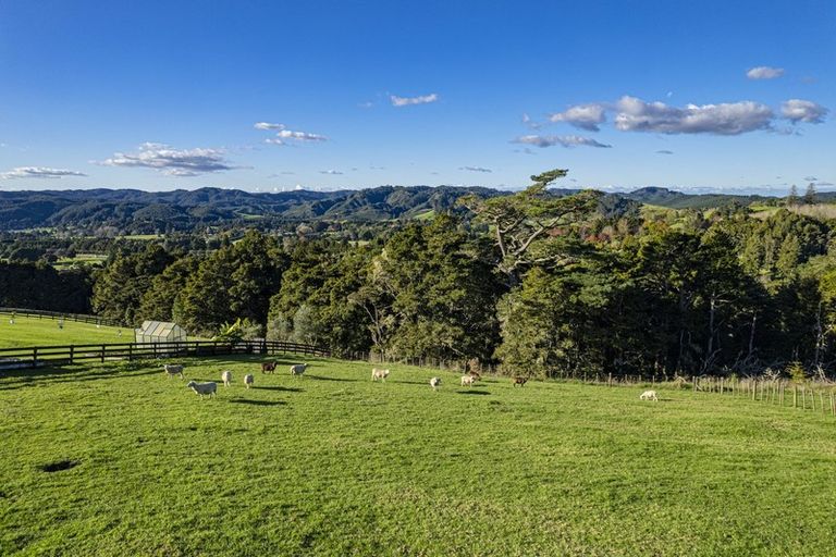 Photo of property in 85 Jounneaux Road, Te Kamo, Kamo, 0185