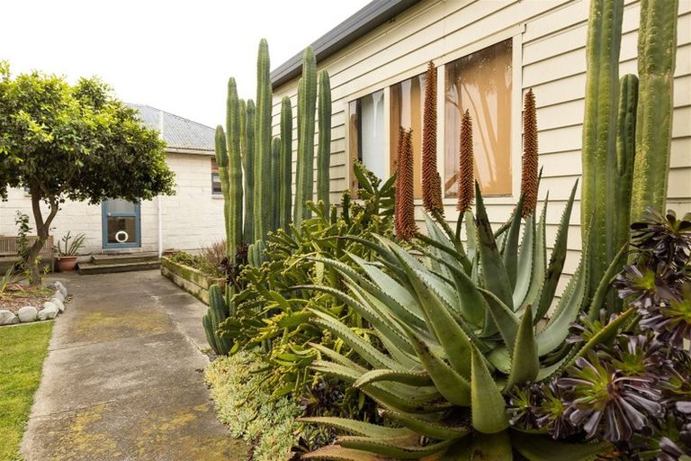 Photo of property in 17 Havelock Street, Renwick, 7204