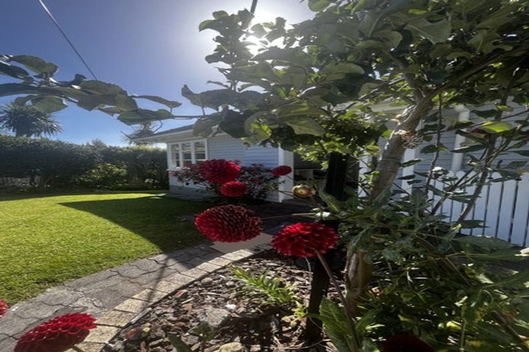 Photo of property in 105 Cook Street, Thames, 3500