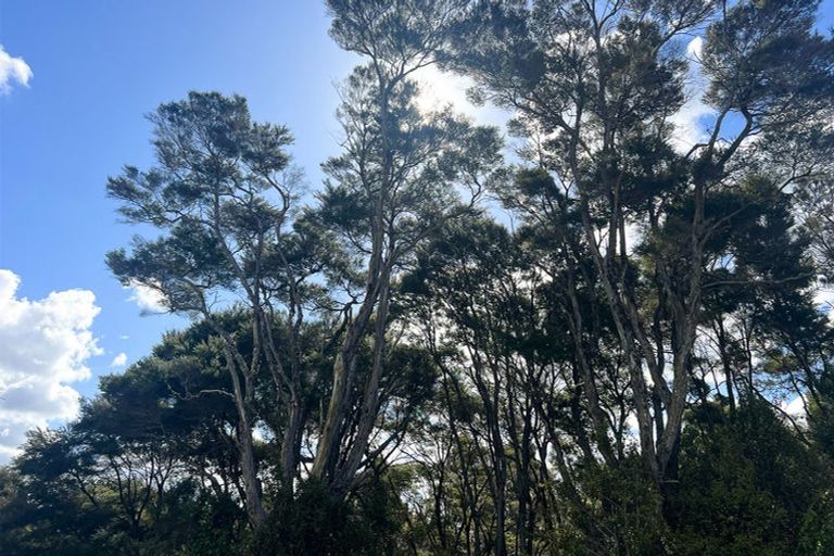 Photo of property in 11 Ti Tree Lane, Stanmore Bay, Whangaparaoa, 0932