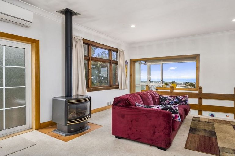 Photo of property in 117 Forfar Street, Clyde Hill, Dunedin, 9011