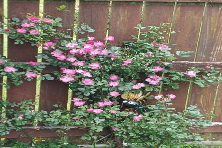 Photo of property in 6534 Matawai Road, Matawai, 4075